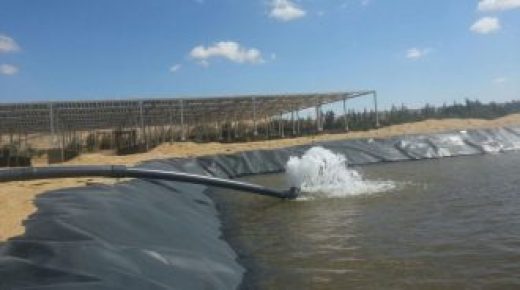 إجراءات جديدة لمواجهة نقص مياه الري في مصر