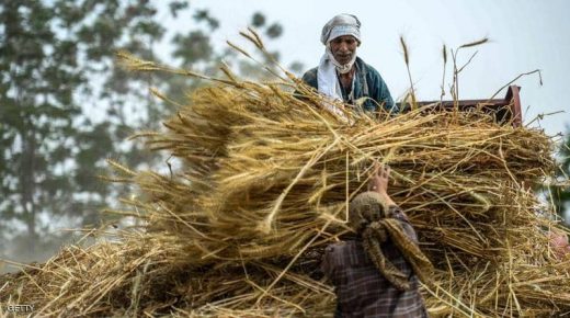 مصر تبحث إنشاء مخازن عملاقة للسلع الأساسية