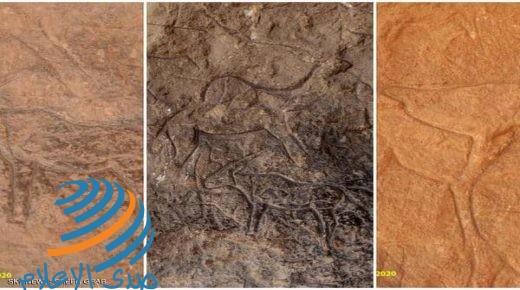 اكتشاف كهف أثري بنقوش فريدة في سيناء