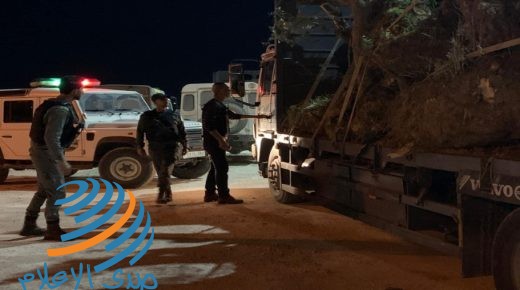 الخليل: الأمن الوقائي يضبط محروقات مهربة وشاحنة محملة بأشجار الزيتون الرومي