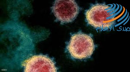 عالمة أحياء تحذر: القضاء على الفيروس التاجي لا يكفي!