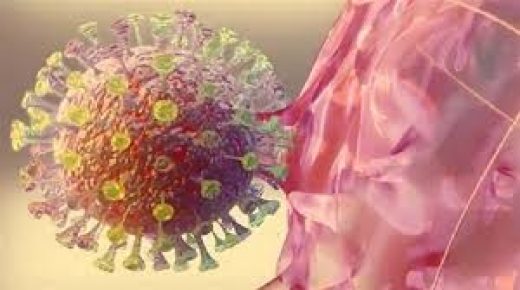 حالات الشفاء من فيروس كورونا في العالم تتجاوز 444 ألفا