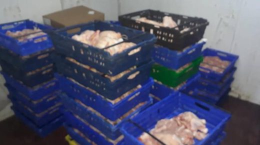 ضبط لحوم دجاج مجهولة المصدر في محافظة قلقيلية