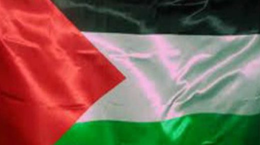وزيرة خارجية جنوب افريقيا تؤكد وقوف بلادها مع فلسطين في المحافل الدولية كافة