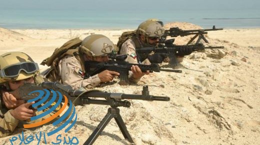 مقتل 19 مسلحا في عمليتين للجيش المصري بشمال سيناء