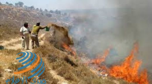 مستوطنون يضرمون النار في الأراضي الزراعية شرق طولكرم