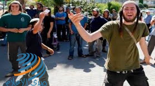 مستوطنون يعربدون على شارع جنين- نابلس