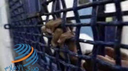 جنين: الاحتلال يمدد اعتقال فتى من يعبد للمرة الخامسة على التوالي