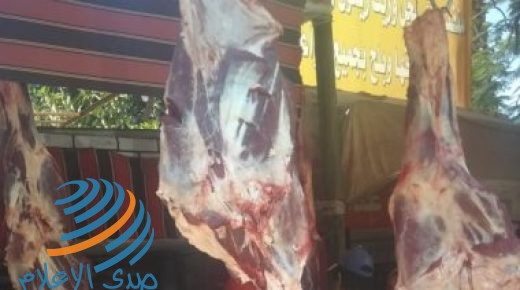 اسعار اللحوم اليوم بالاسواق .. 110 للكندوز و 130 للضان