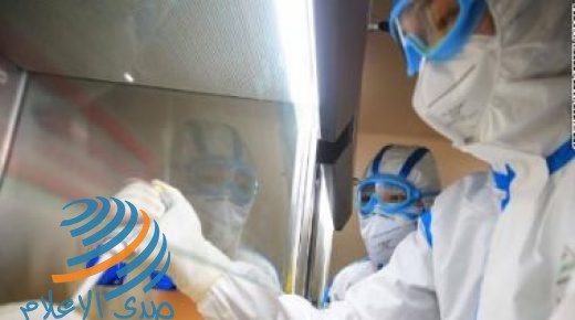 نيجيريا تسجل 403 إصابات جديدة بفيروس كورونا