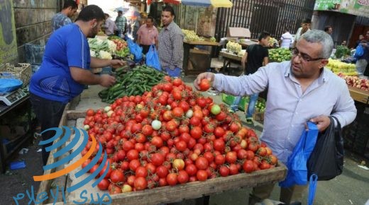 “الإحصاء”: انخفاض في أسعار المنتج الشهر الماضي