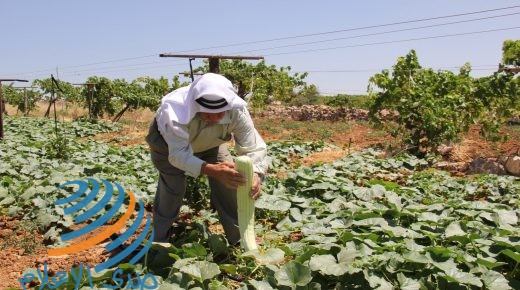 رام الله: مجتمعون يؤكدون ضرورة دعم المزارعين وتمكينهم اقتصاديا