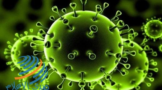 تسجيل 75 إصابة جديدة بفيروس كورونا ترفع حصيلة إصابات اليوم إلى 207