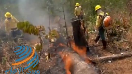 خبراء: البرازيل تسجل أكبر عدد من الحرائق في الأمازون منذ عام 2007