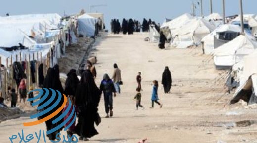 الأمم المتحدة: أكثر من نصف سكان شمال سوريا يعانون أزمة غذاء