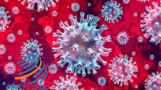تسجيل أكثر من 200 ألف حالة وفاة في أوروبا بسبب فيروس كورونا
