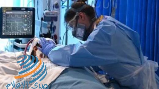 تسجيل 12 إصابة جديدة بفيروس كورونا في تونس