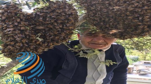 النَحَال “أبو ابراهيم”..  50 عاما في مملكة العسل