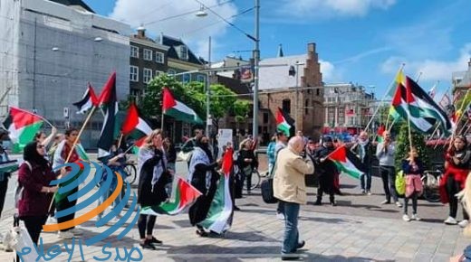 وقفة احتجاجية في لاهاي تنديدا بمخططات الضم الإسرائيلية