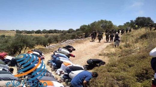 الاحتلال يقمع مشاركين بصلاة الجمعة فوق أراضي مهددة بالاستيلاء شمال نابلس