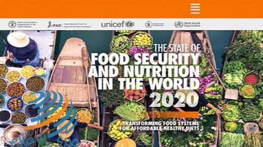 تقرير أممي: جائحة كورونا تضيف 83-132 مليون شخص للذين يعانون من النقص التغذوي في العالم