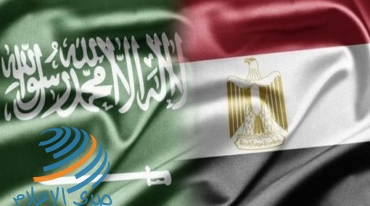 صحيفة عبرية تدعي: مصر والسعودية بعثوا رسائل مطمئنة لإسرائيل بشأن الضم