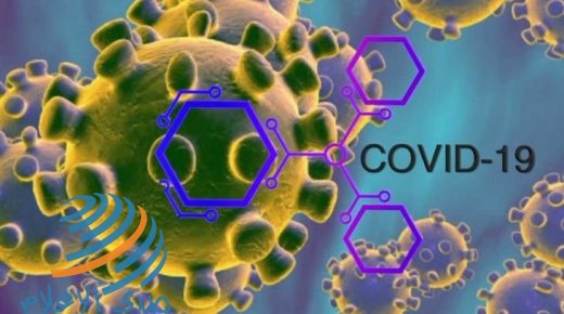 الصحة: تسجيل 532 إصابة بفيروس كورونا و104 حالات تعاف خلال الـ24 ساعة الأخيرة
