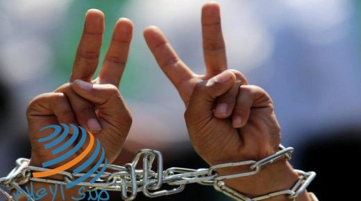 500 معتقل إداري يواصلون مقاطعة محاكم الاحتلال لليوم الـ81