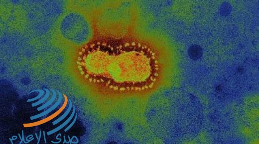 أمريكا تسجل 5 ملايين إصابة بفيروس كورونا منذ بدء الجائحة