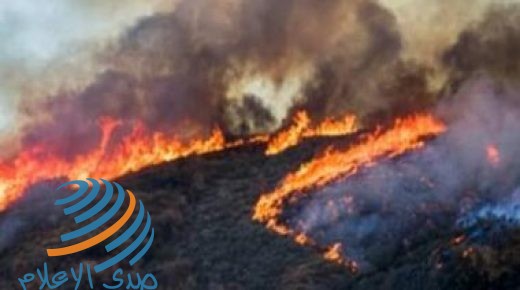 إعلان حالة الطوارئ في كاليفورنيا بسبب حرائق الغابات