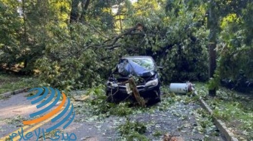 ترامب يعلن حالة الطوارئ في ولاية كونيتيكت بسبب العاصفة “إيسياس”