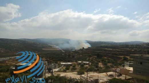مستوطنون يضرمون النار بحقول زراعية جنوب غرب نابلس