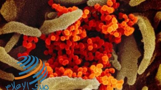 جورجيا تسجل 227 إصابة جديدة بفيروس كورونا