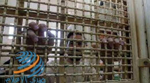 وقفة إسناد للأسير المضرب عن الطعام عبد الرحمن شعيبات في بيت ساحور