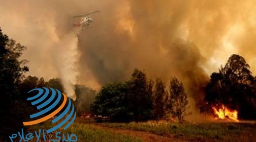 مصرع 11 وإصابة 17 آخرين إثر حرائق غابات في لوهانسك شرق أوكرانيا