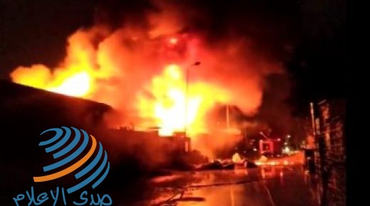 اندلاع حريق في أحراج عجلون بالأردن