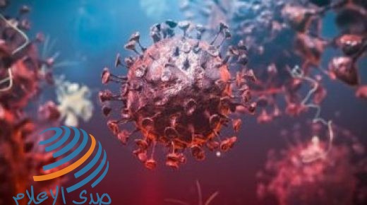 ليبيا تسجل 1031 إصابة جديدة بفيروس كورونا و6 حالات وفاة