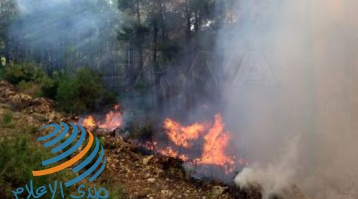 تضرر 4 آلاف أسرة و250 ألف شجرة احترقت بسبب الحرائق في طرطوس السورية