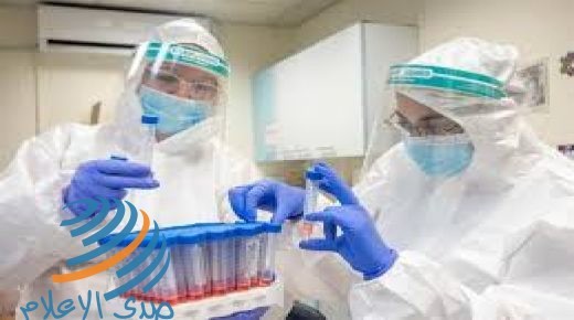 هولندا تسجل 5000 حالة إصابة بفيروس كورونا خلال 24 ساعة