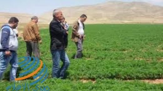 تسليم 6 مشاريع تطويرية زراعية في محافظة طوباس