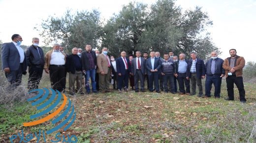 جنين: المطور يؤكد أهمية الحفاظ على التنوع الحيوي في حقول أشجار الزيتون المعمرة في قرية مسلية