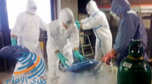 الكويت تحظر استيراد الطيور من 7 دول أوروبية بسبب الإنفلونزا