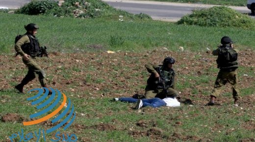 اعتقال ثلاثة شبان من مخيم جنين وبلدة قباطية