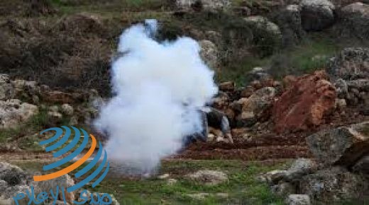 أريحا: إصابات بالاختناق واعتقال 3 مواطنين بمخيم عقبة جبر