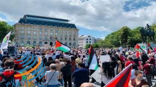 بروكسل: وقفة للتنديد بجرائم الاحتلال وانتهاكاته بحق الشعب الفلسطيني