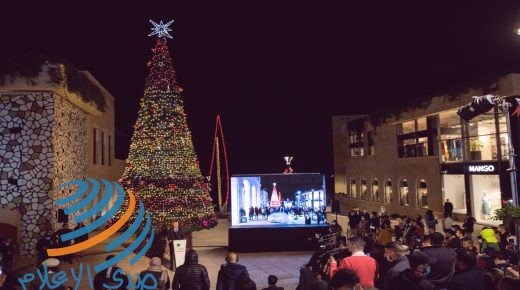 إضاءة شجرة عيد الميلاد في روابي