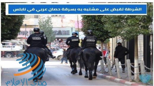 الشرطة تقبض على مشتبه به بسرقة حصان عربي في نابلس