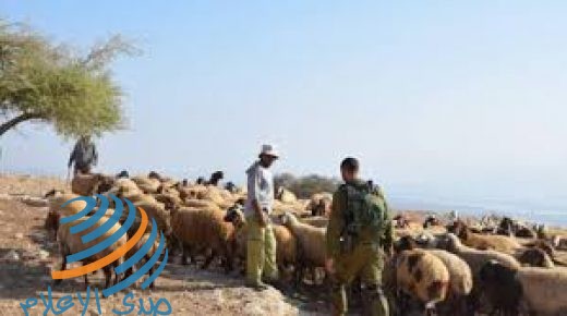 الخليل: مستوطنون يعتدون على رعاة الماشية ويرشقونهم بالحجارة