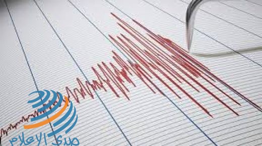 زلزال بقوة 4.6 درجات يضرب وسط تركيا