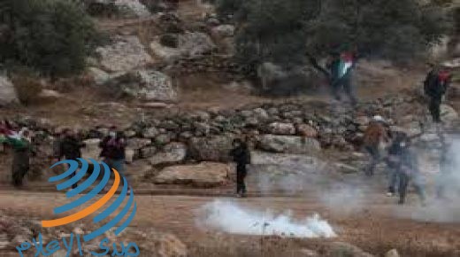 نابلس: إصابة مواطنين بالرصاص “المطاطي” إثر قمع الاحتلال فعالية سلمية